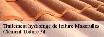 Traitement hydrofuge de toiture mazerulles-54280 Clément Toiture 54