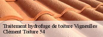 Traitement hydrofuge de toiture  vigneulles-54360 Clément Toiture 54