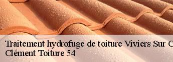 Traitement hydrofuge de toiture  viviers-sur-chiers-54260 Clément Toiture 54