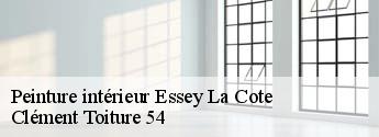 Peinture intérieur essey-la-cote-54830 Clément Toiture 54