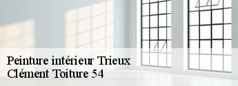 Peinture intérieur trieux-54750 Clément Toiture 54